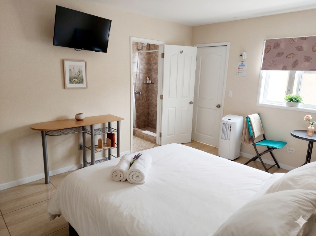 Habitación Matrimonial — Hotel Willson