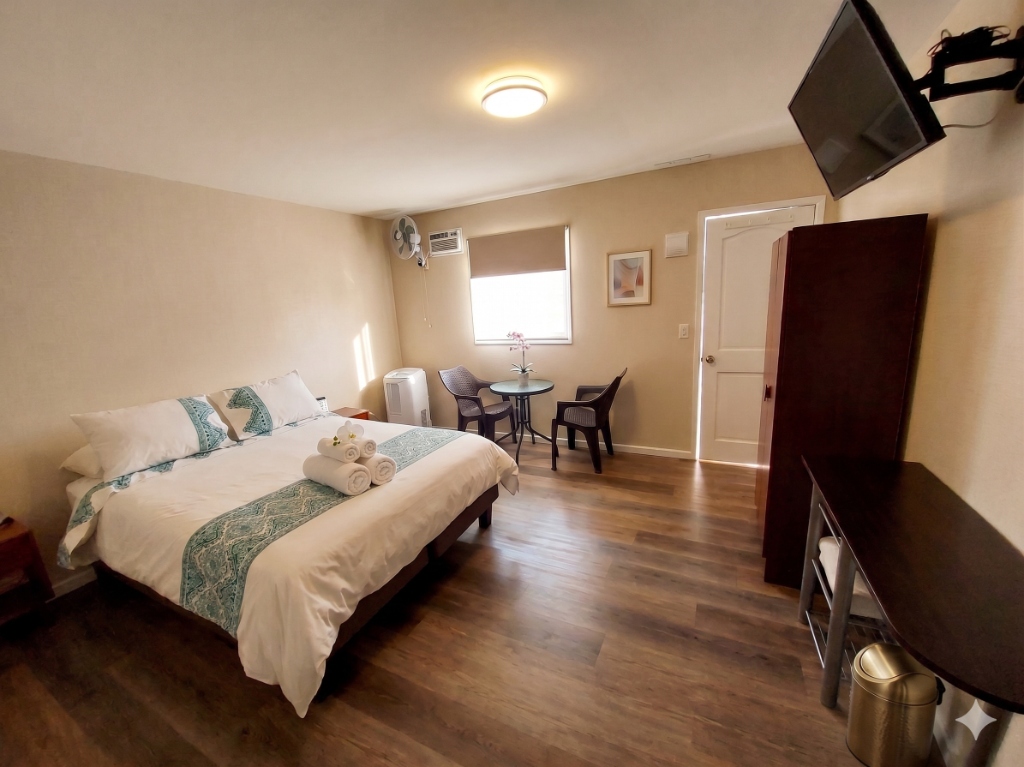 Habitación Single — Hotel Willson